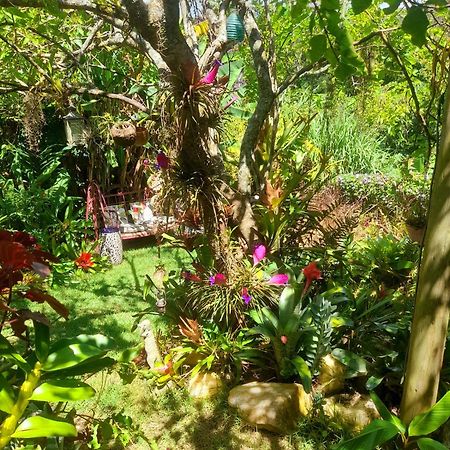 Casa De Vidro Leilighet Petrópolis Eksteriør bilde