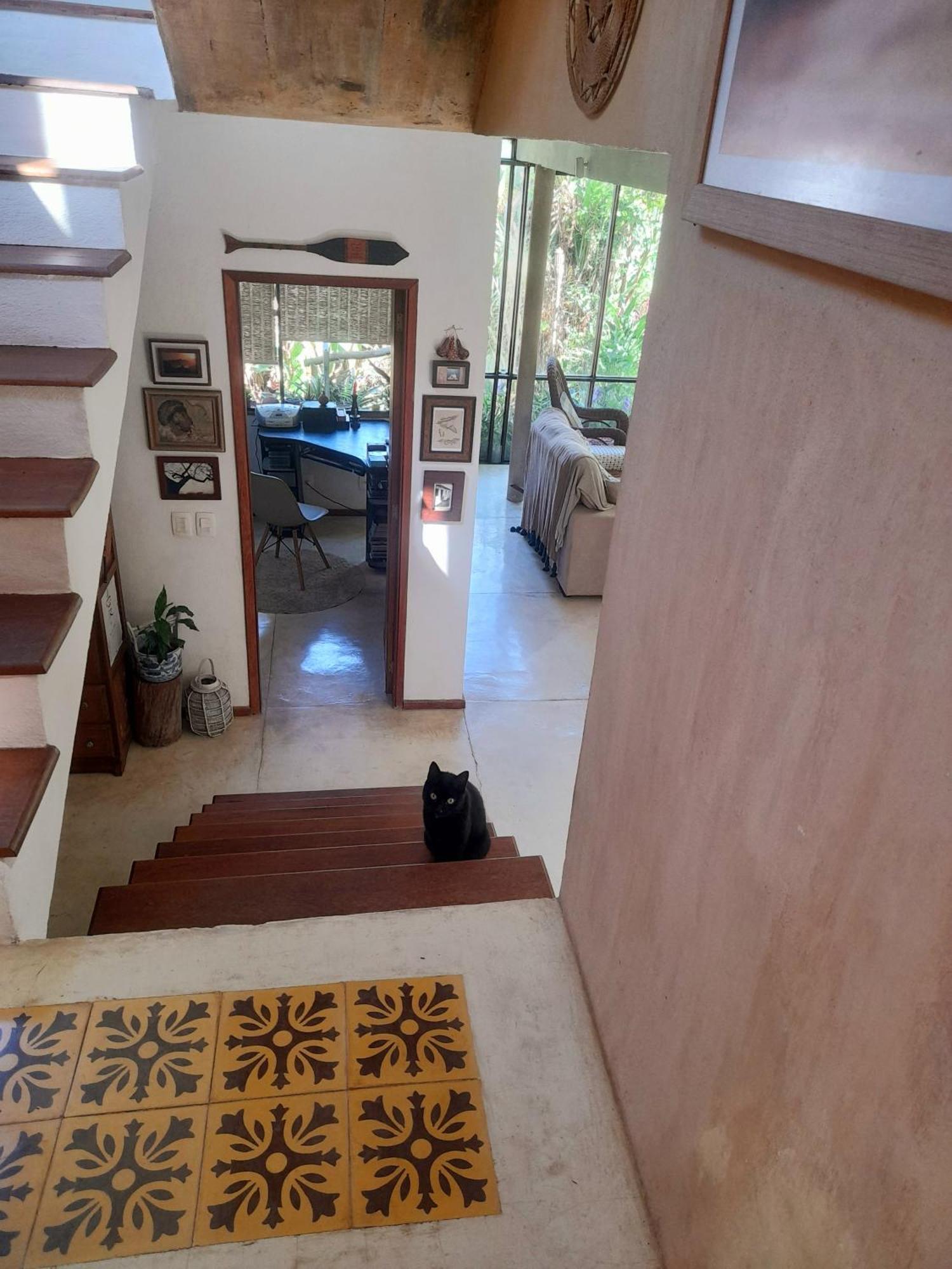 Casa De Vidro Leilighet Petrópolis Eksteriør bilde