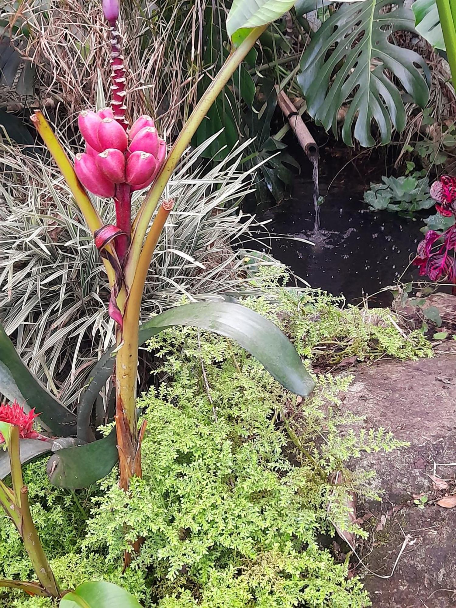 Casa De Vidro Leilighet Petrópolis Eksteriør bilde