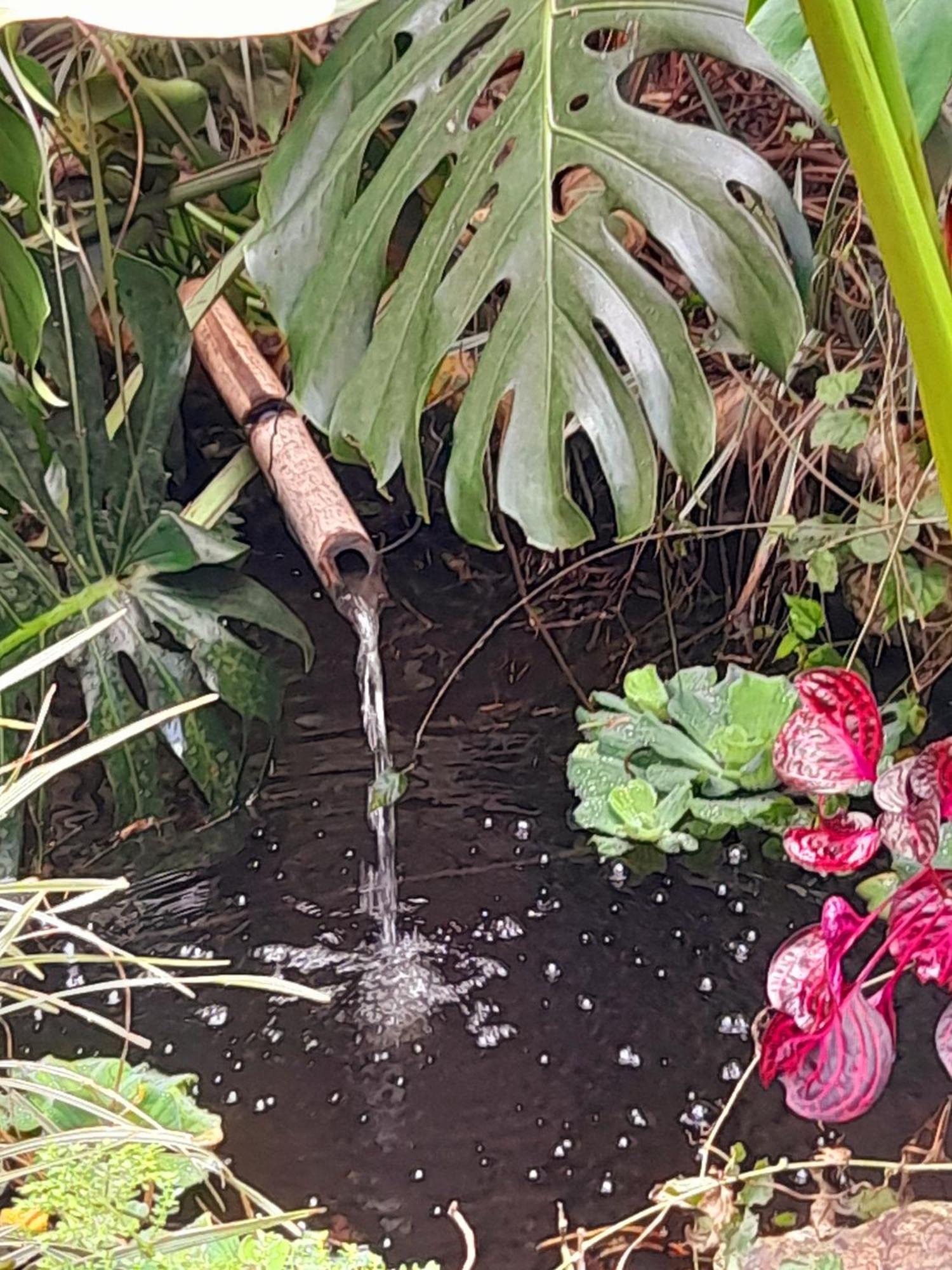 Casa De Vidro Leilighet Petrópolis Eksteriør bilde