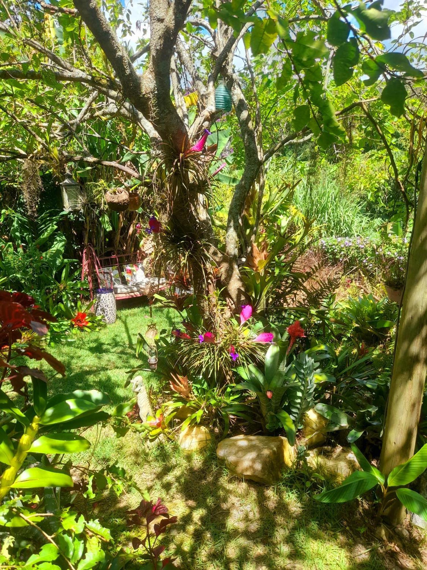Casa De Vidro Leilighet Petrópolis Eksteriør bilde