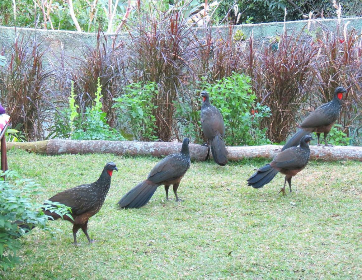 Casa De Vidro Leilighet Petrópolis Eksteriør bilde