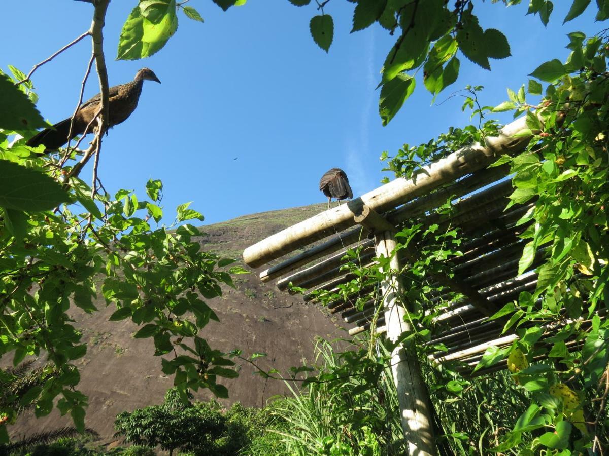 Casa De Vidro Leilighet Petrópolis Eksteriør bilde